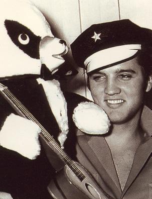 20070127002648-elvis.jpg