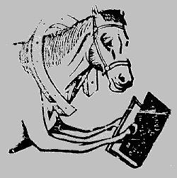 5-picture3.jpg