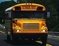 autobus.jpg